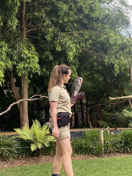 ZOO3